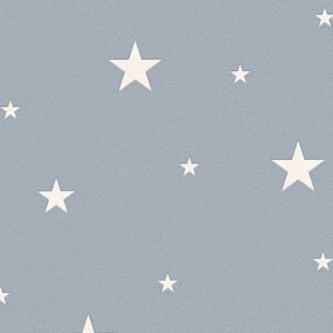 Glow in the Dark Stars Wallpaper Grey AS Creation 32440-3