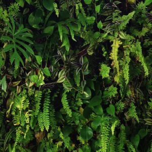 Kew Living Wall Wallpaper Green Belgravia 66119