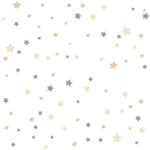 Little Explorers 2 Wallpaper Stars Silver Grey Galerie 14826